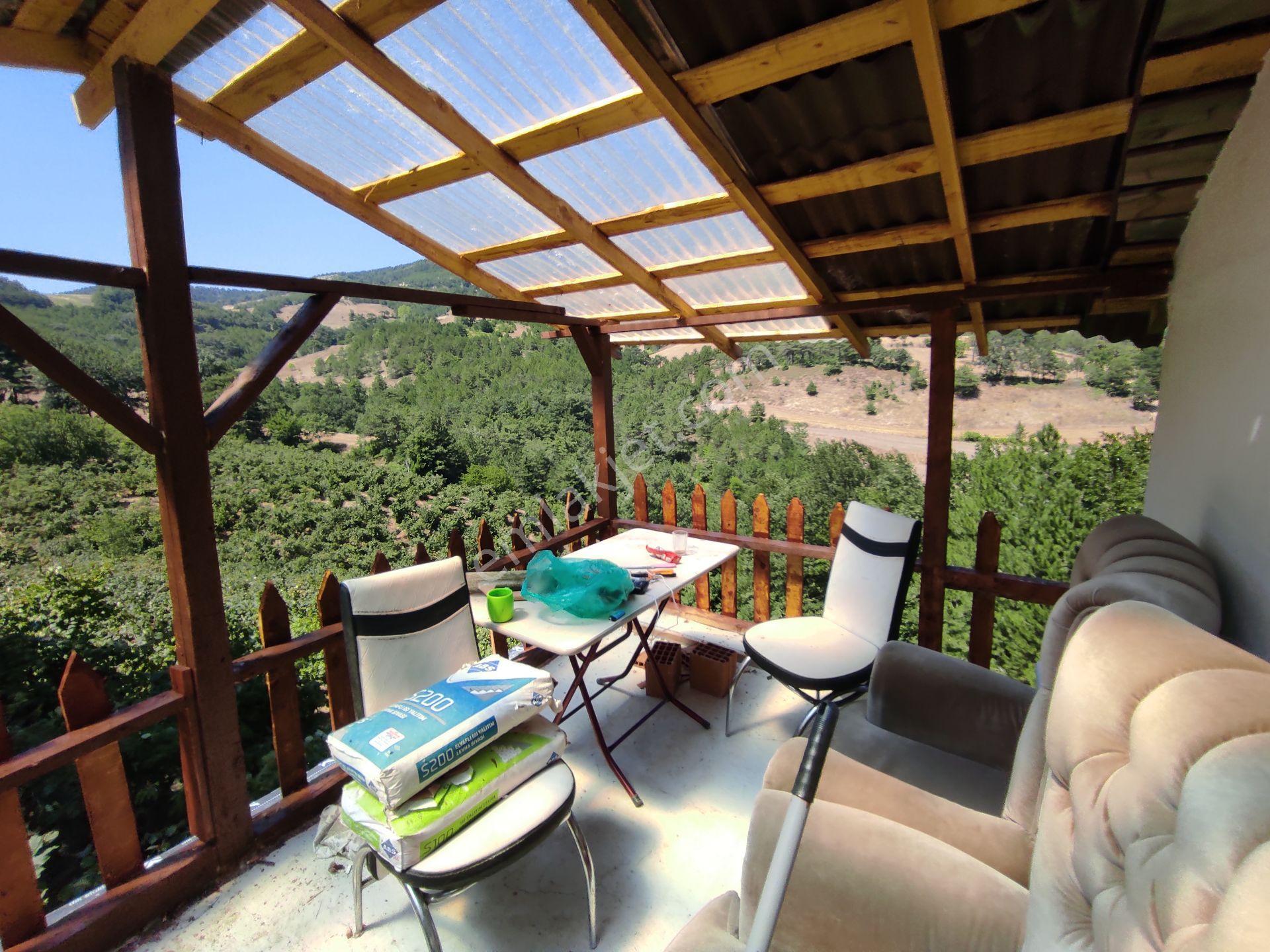 Geyve Hisarlık Ta 4999,m2+4000,m2 Fındık Bahçesi — fotoğraf 9