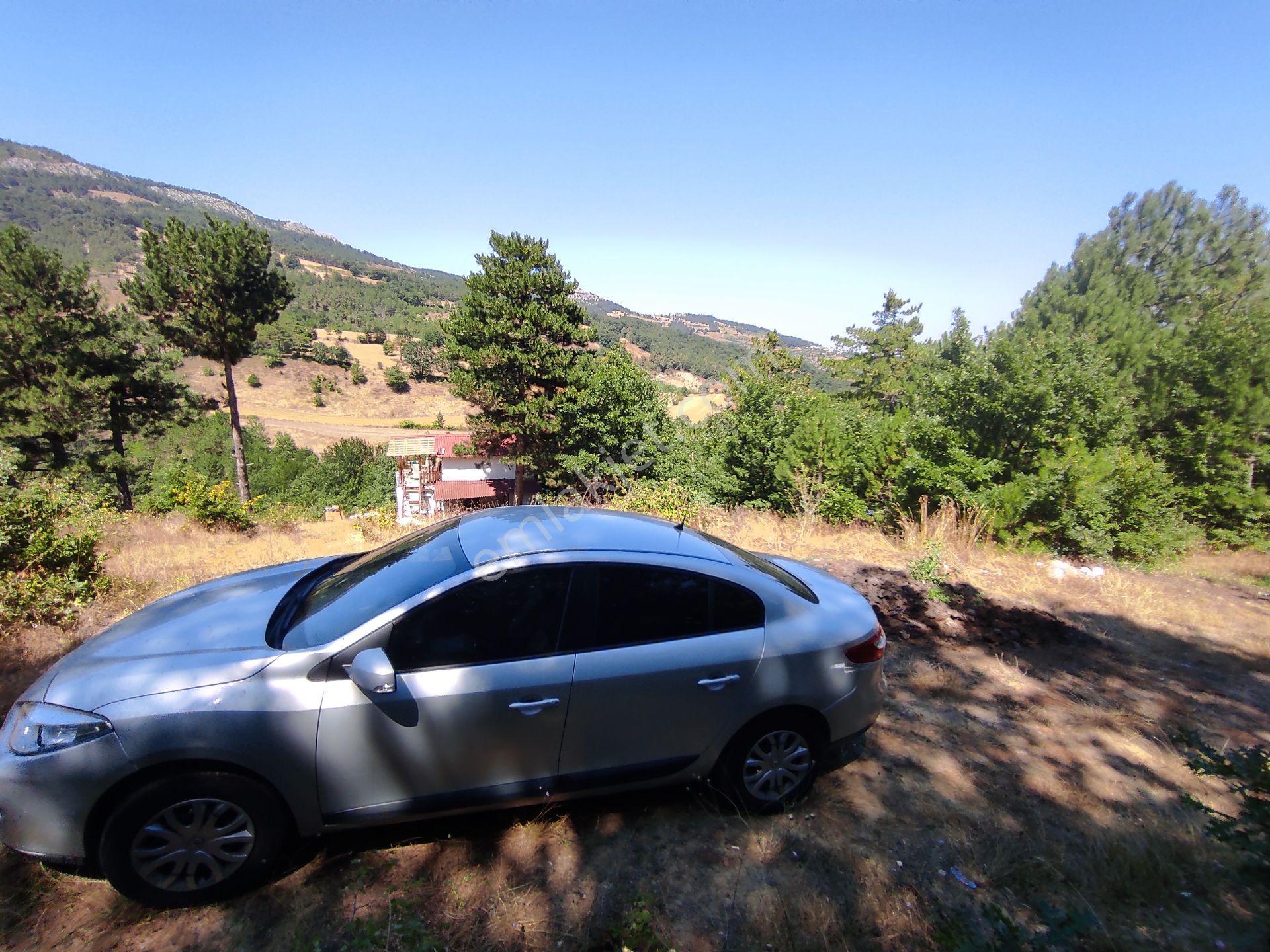 Geyve Hisarlık Ta 4999,m2+4000,m2 Fındık Bahçesi — fotoğraf 31
