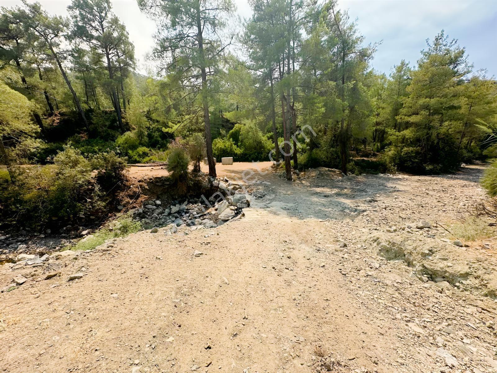 Fethiye Yakacıkta Doğayla İç İçe,özel Yaşam Alanı Sıfır Loft Ev — fotoğraf 5