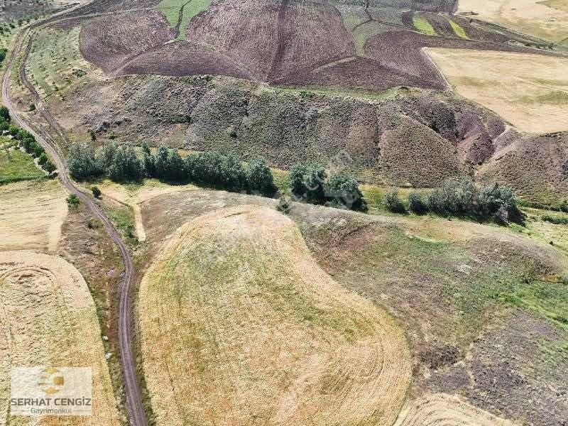 Kırşehir Kaman'da 12.892 M² Satılık Tarla — fotoğraf 3