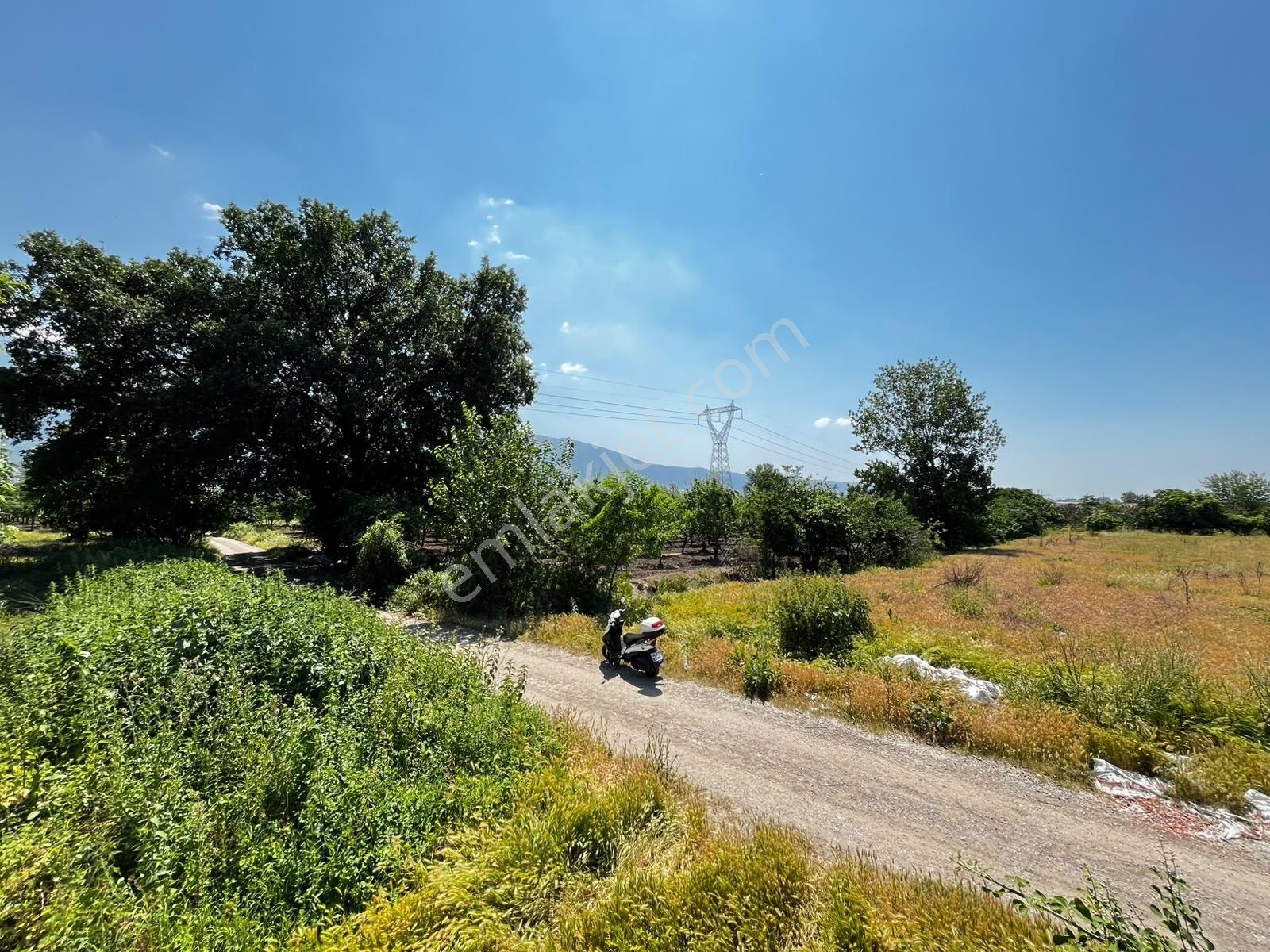 Acil Vakıf Mahallesinde Mevcut 2 Tapu Bir Tarla 6.900 M2