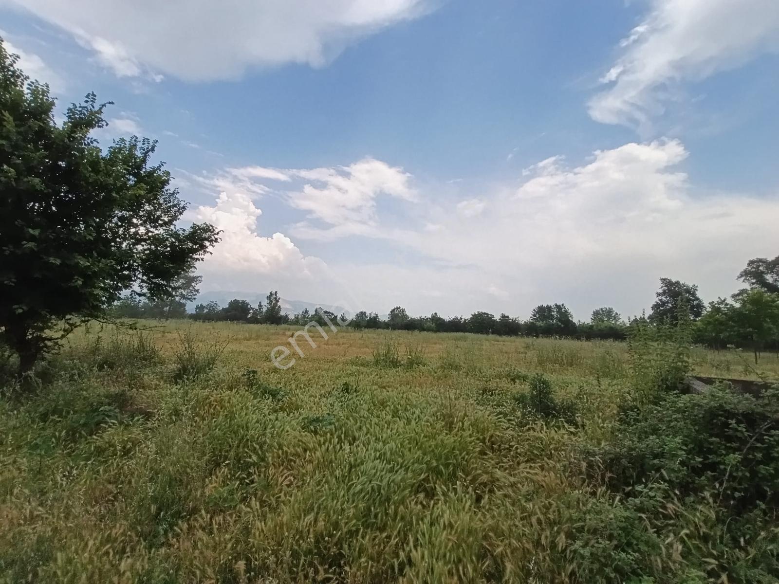 Acil Vakıf Mahallesinde Mevcut 2 Tapu Bir Tarla 6.900 M2 — fotoğraf 6