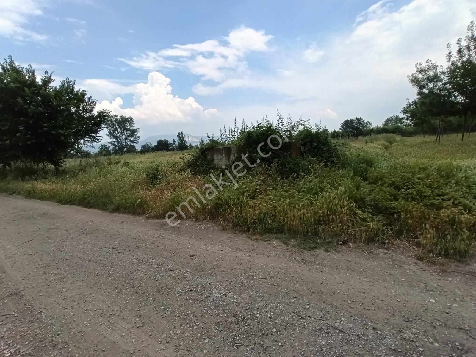Acil Vakıf Mahallesinde Mevcut 2 Tapu Bir Tarla 6.900 M2 — fotoğraf 7