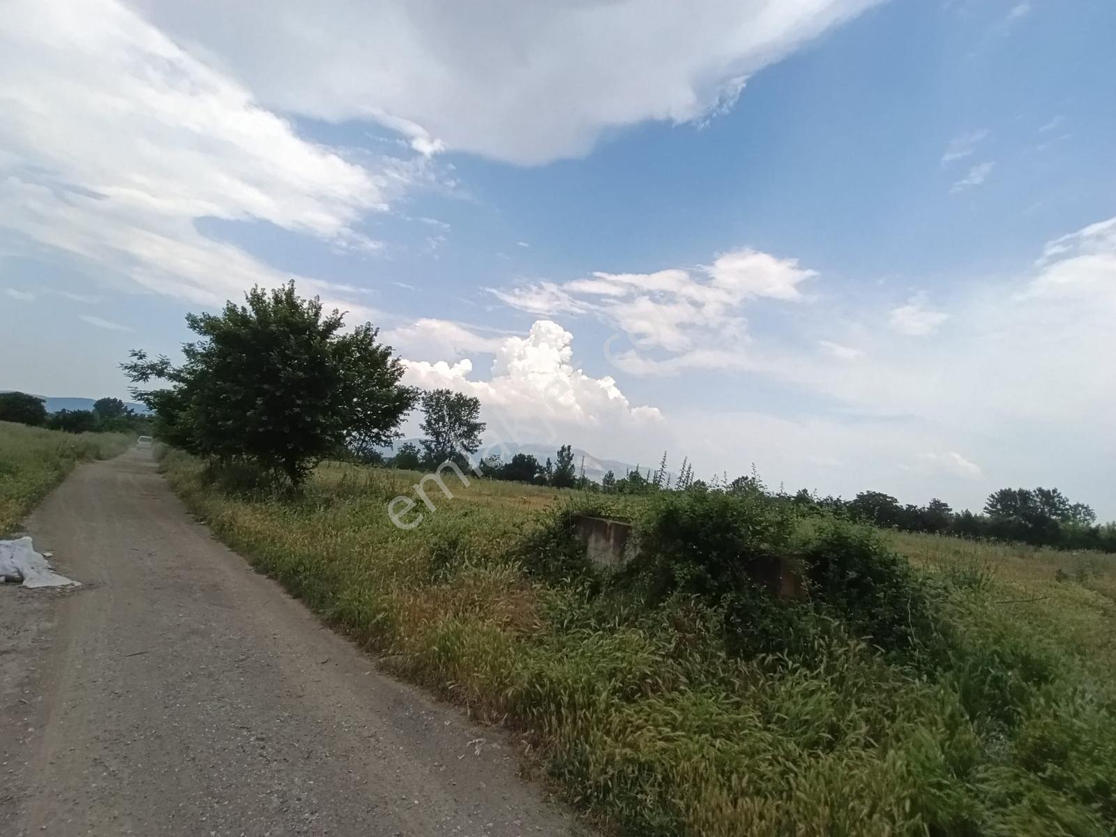Acil Vakıf Mahallesinde Mevcut 2 Tapu Bir Tarla 6.900 M2 — fotoğraf 8