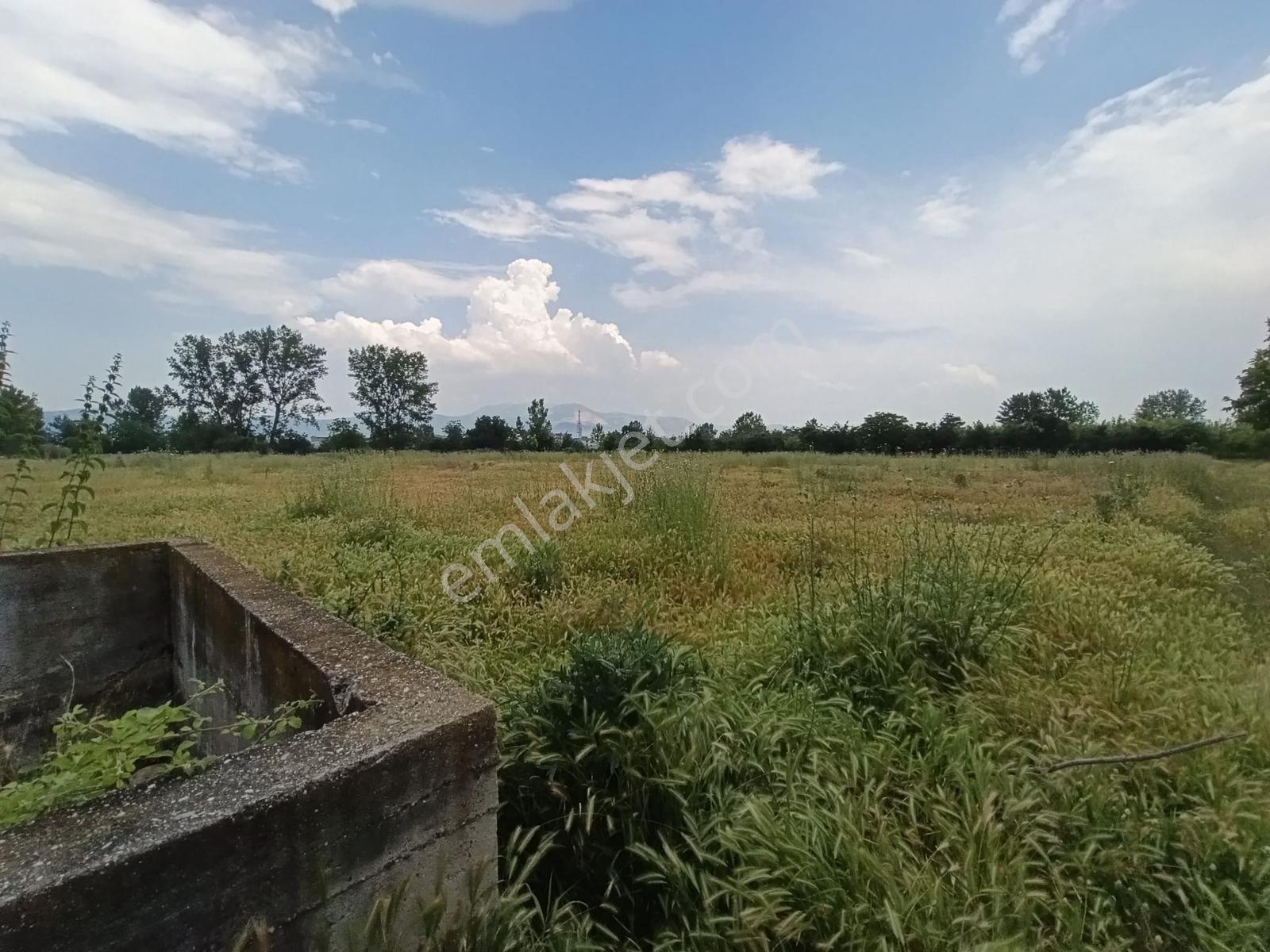 Acil Vakıf Mahallesinde Mevcut 2 Tapu Bir Tarla 6.900 M2 — fotoğraf 10