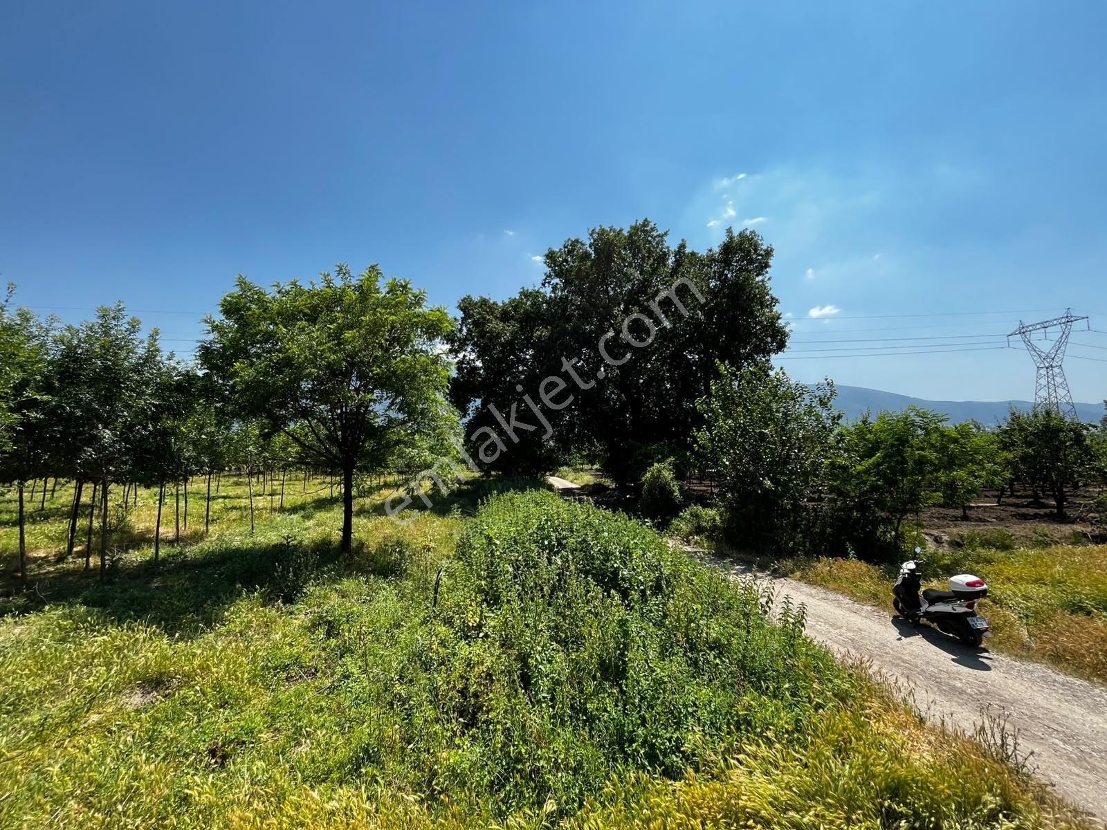 Acil Vakıf Mahallesinde Mevcut 2 Tapu Bir Tarla 6.900 M2 — fotoğraf 11