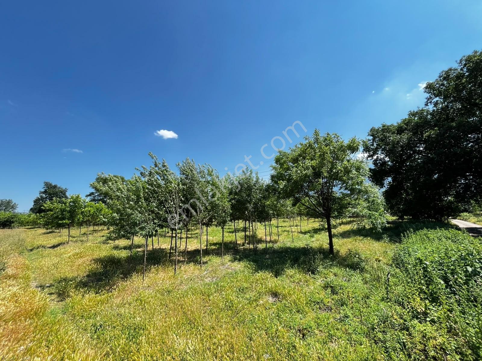 Acil Vakıf Mahallesinde Mevcut 2 Tapu Bir Tarla 6.900 M2 — fotoğraf 12