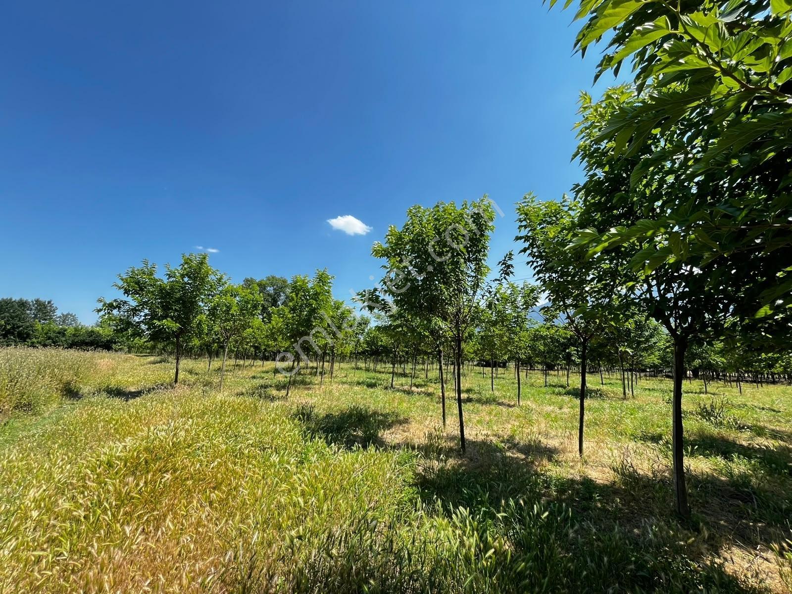 Acil Vakıf Mahallesinde Mevcut 2 Tapu Bir Tarla 6.900 M2 — fotoğraf 13