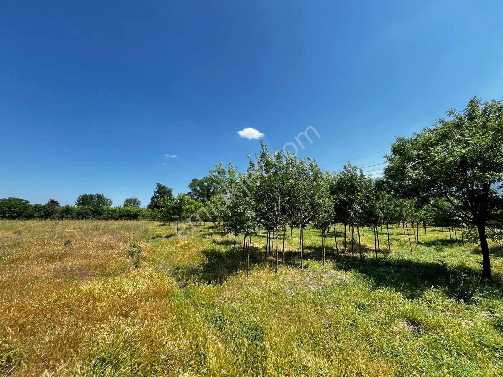 Acil Vakıf Mahallesinde Mevcut 2 Tapu Bir Tarla 6.900 M2 — fotoğraf 14