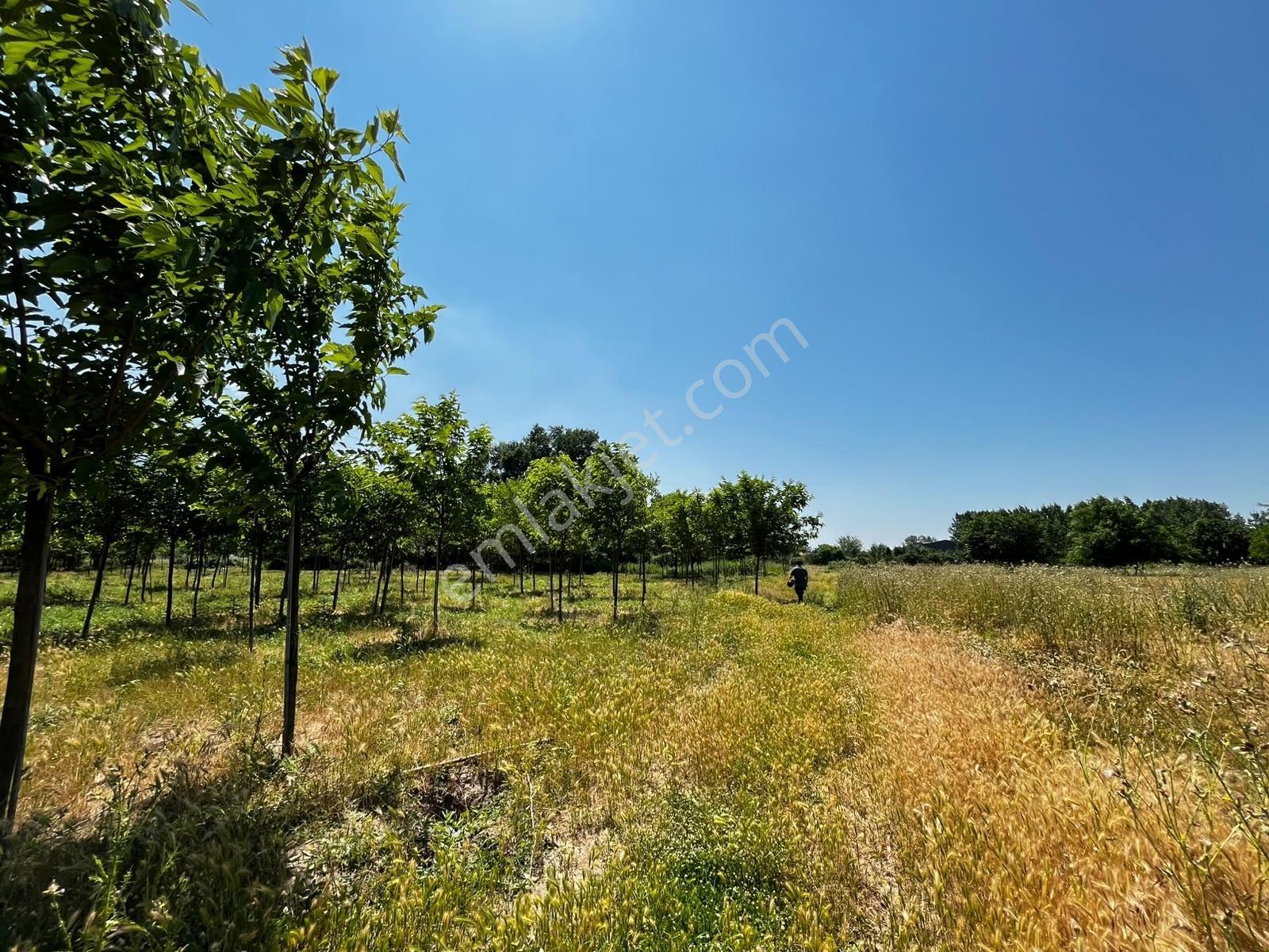 Acil Vakıf Mahallesinde Mevcut 2 Tapu Bir Tarla 6.900 M2 — fotoğraf 15