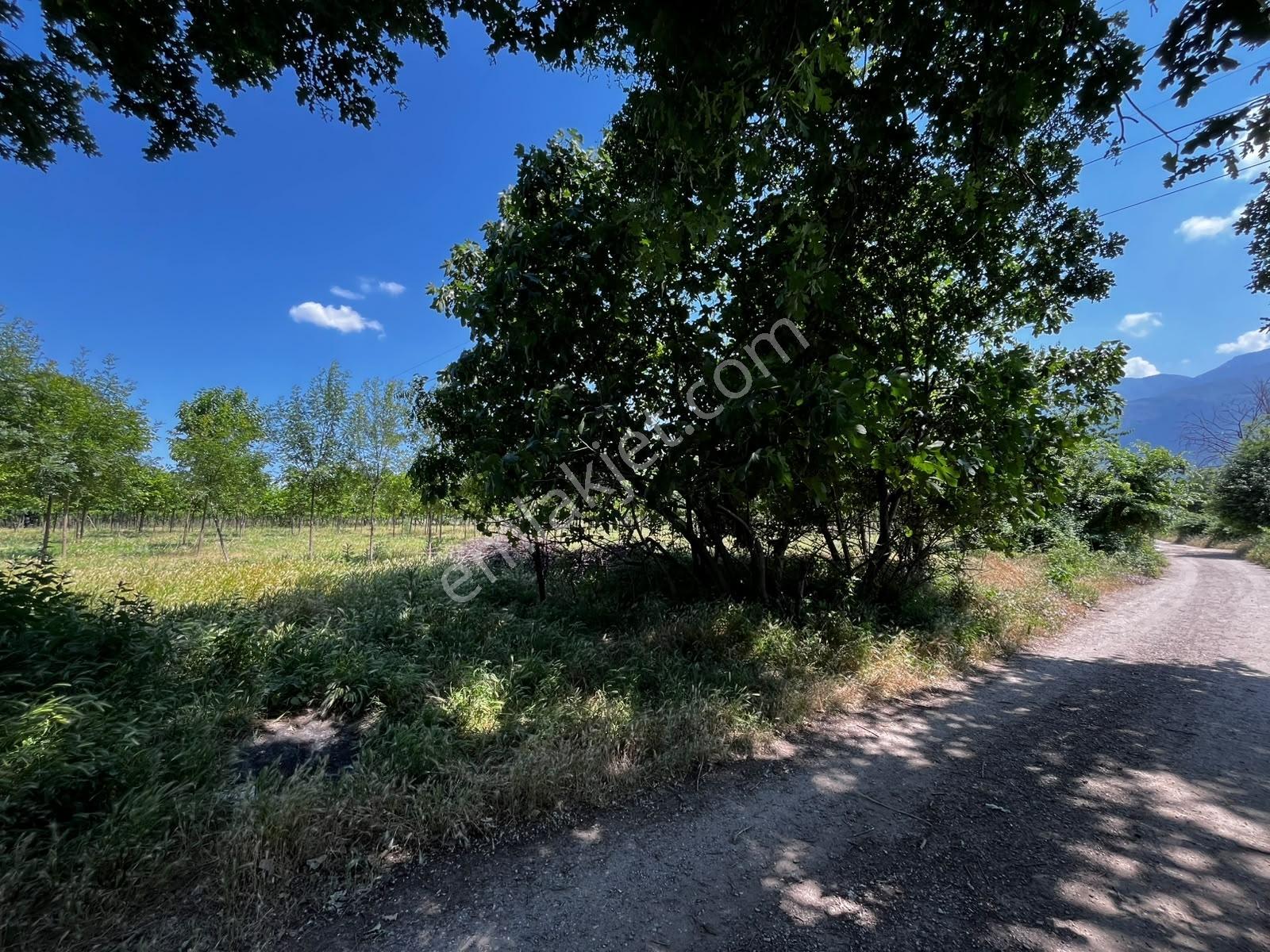 Acil Vakıf Mahallesinde Mevcut 2 Tapu Bir Tarla 6.900 M2 — fotoğraf 17