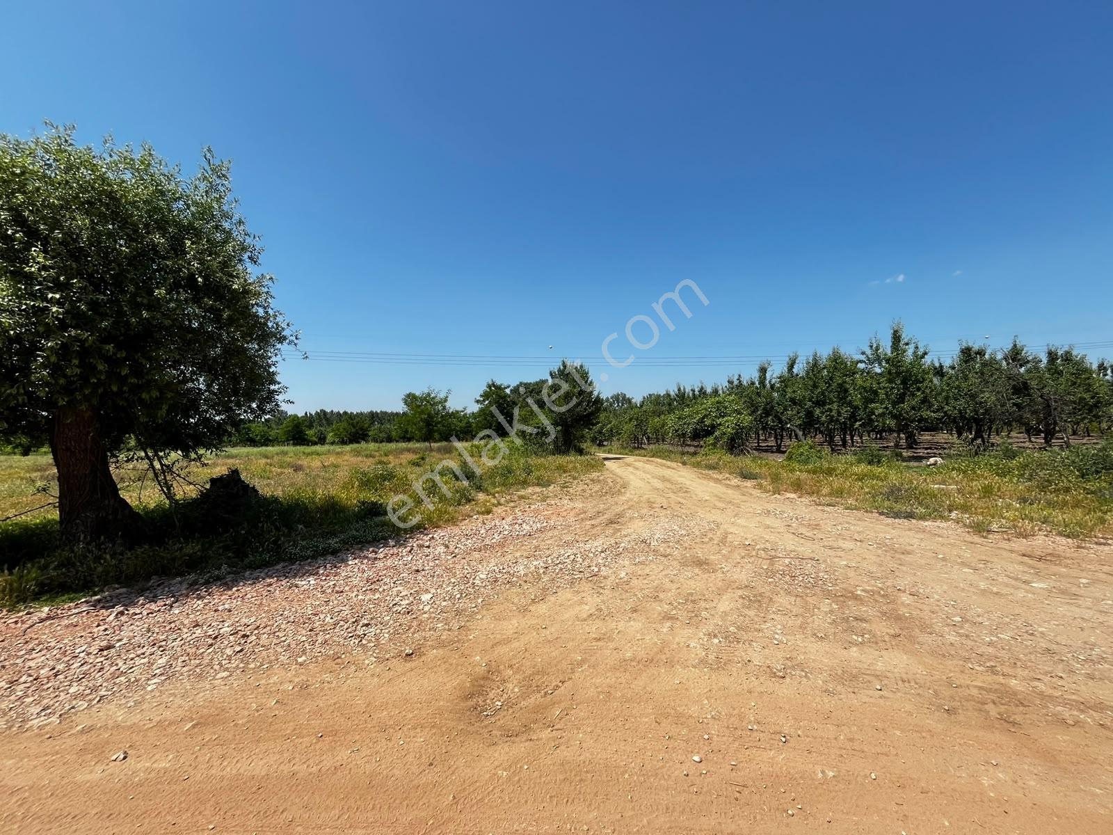 Acil Vakıf Mahallesinde Mevcut 2 Tapu Bir Tarla 6.900 M2 — fotoğraf 20