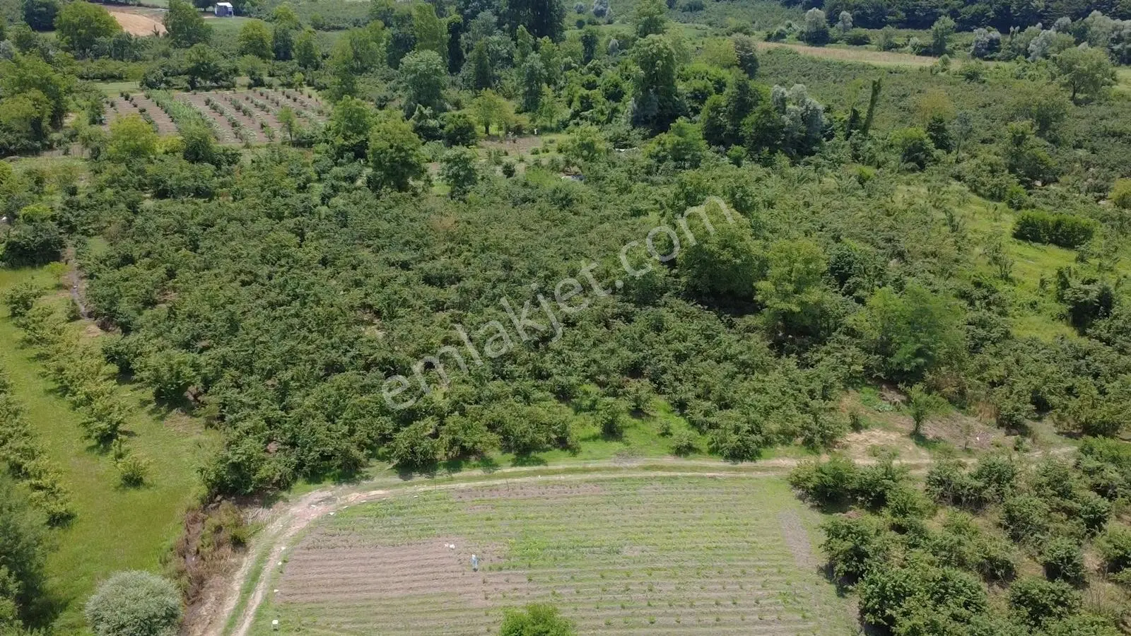 Muradiye Mengencik Köyünde Satılık 2.032 M² Tarla — fotoğraf 5