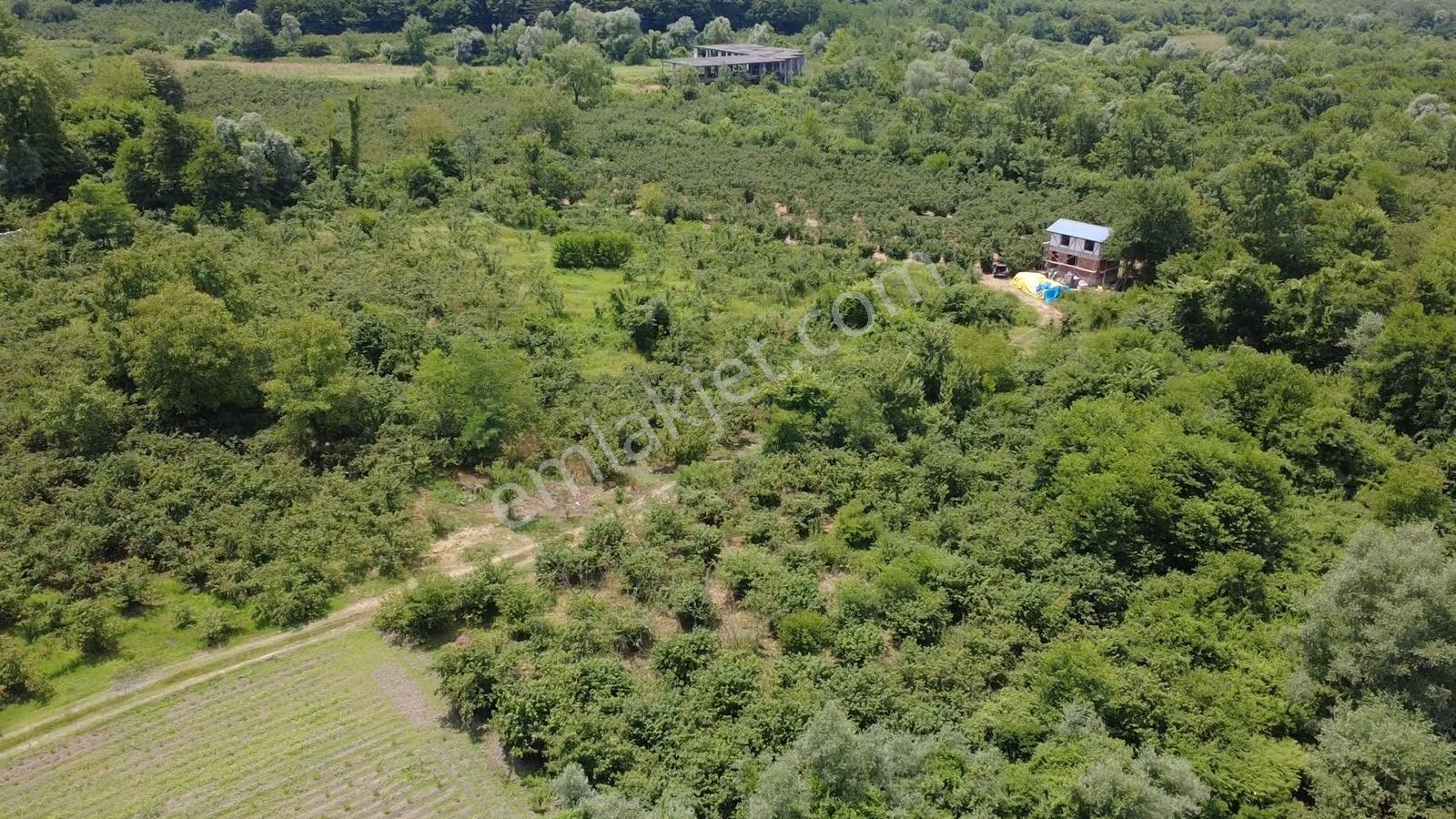 Muradiye Mengencik Köyünde Satılık 2.032 M² Tarla — fotoğraf 6