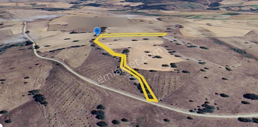 Bilecik Söğüt Kızılsarayda 3.516 M² Satılık Tarım Arazisi — fotoğraf 5
