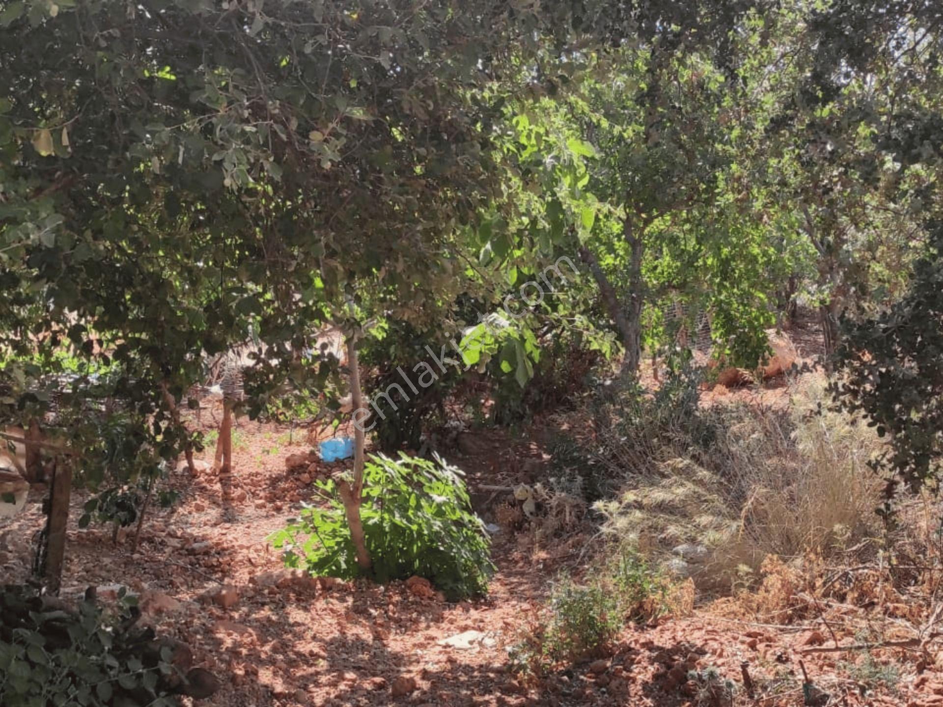 Kaş Bezirgan Villalar Bölgesinde Ana Yola Cepheli Satılık — fotoğraf 12