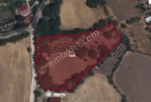 Mollakendi Merkezde Satılık Bahça