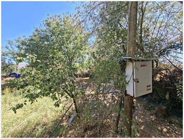 Mollakendi Merkezde Satılık Bahça — fotoğraf 4