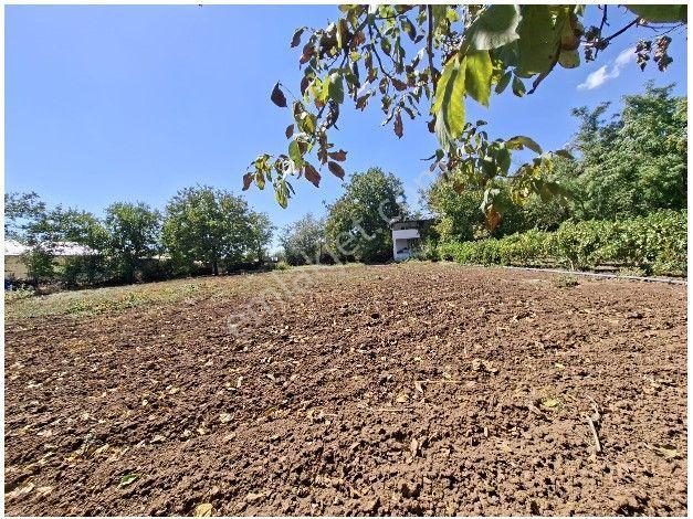 Mollakendi Merkezde Satılık Bahça — fotoğraf 12