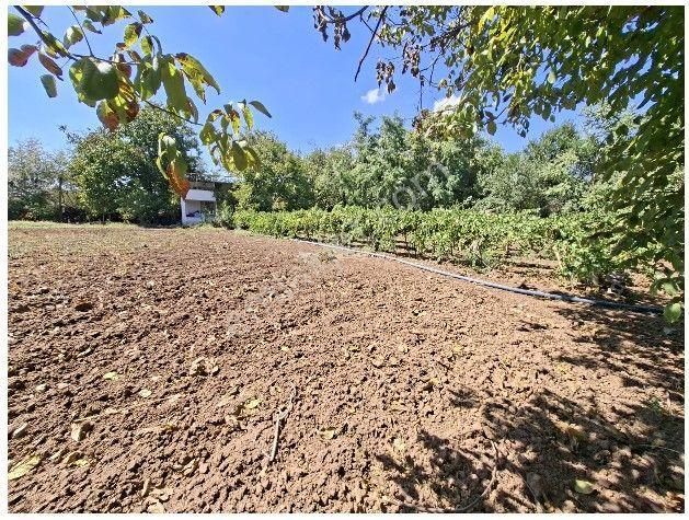 Mollakendi Merkezde Satılık Bahça — fotoğraf 20