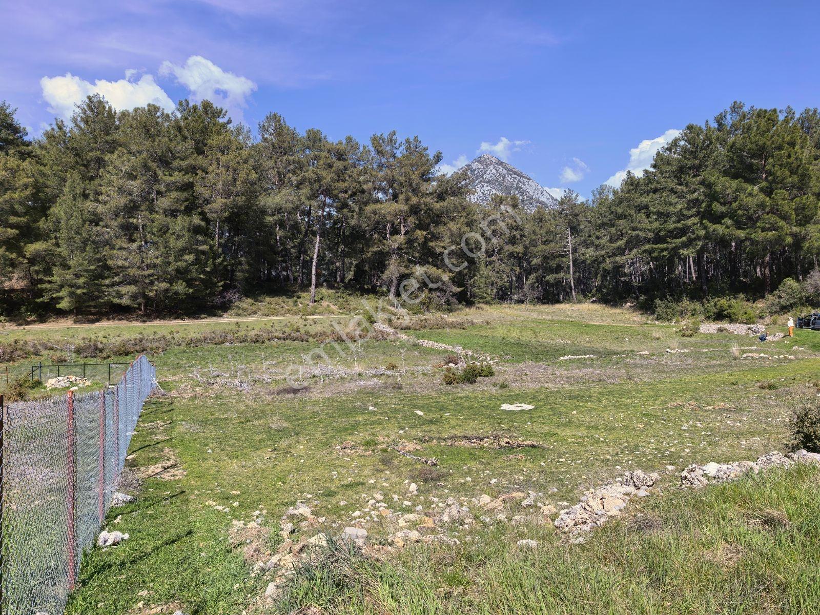 Fethiye Üzümlüde İmarlı Arsa — fotoğraf 2
