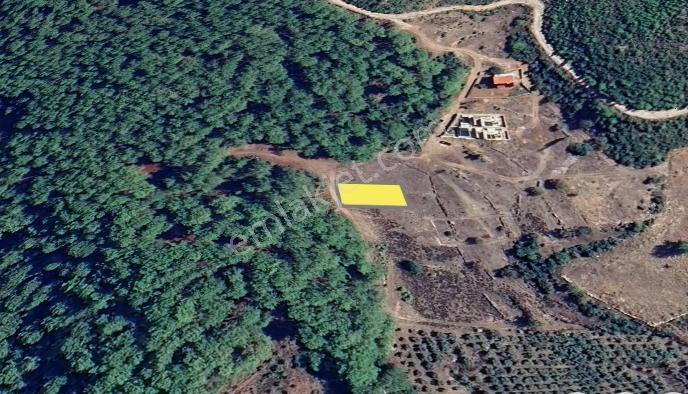 Fethiye Üzümlüde İmarlı Arsa — fotoğraf 31