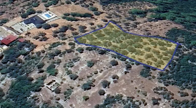 Fethiye İncir Köyde 2612 M2 İmarlı Arsa — fotoğraf 2