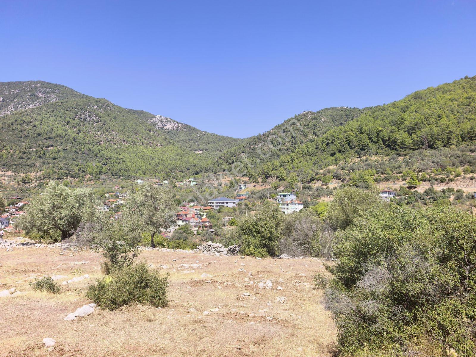 Fethiye İncir Köyde 2612 M2 İmarlı Arsa — fotoğraf 7
