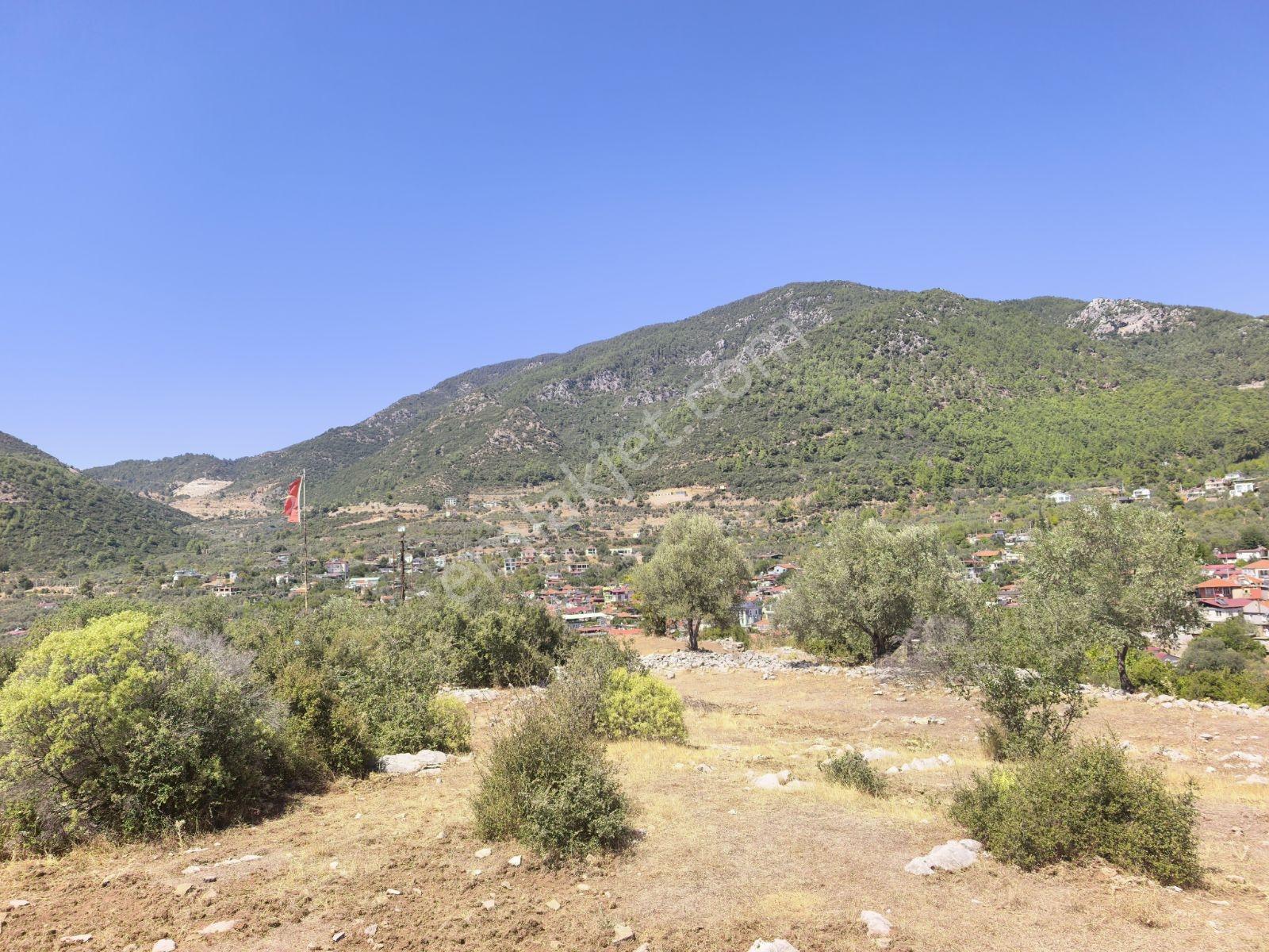 Fethiye İncir Köyde 2612 M2 İmarlı Arsa — fotoğraf 8