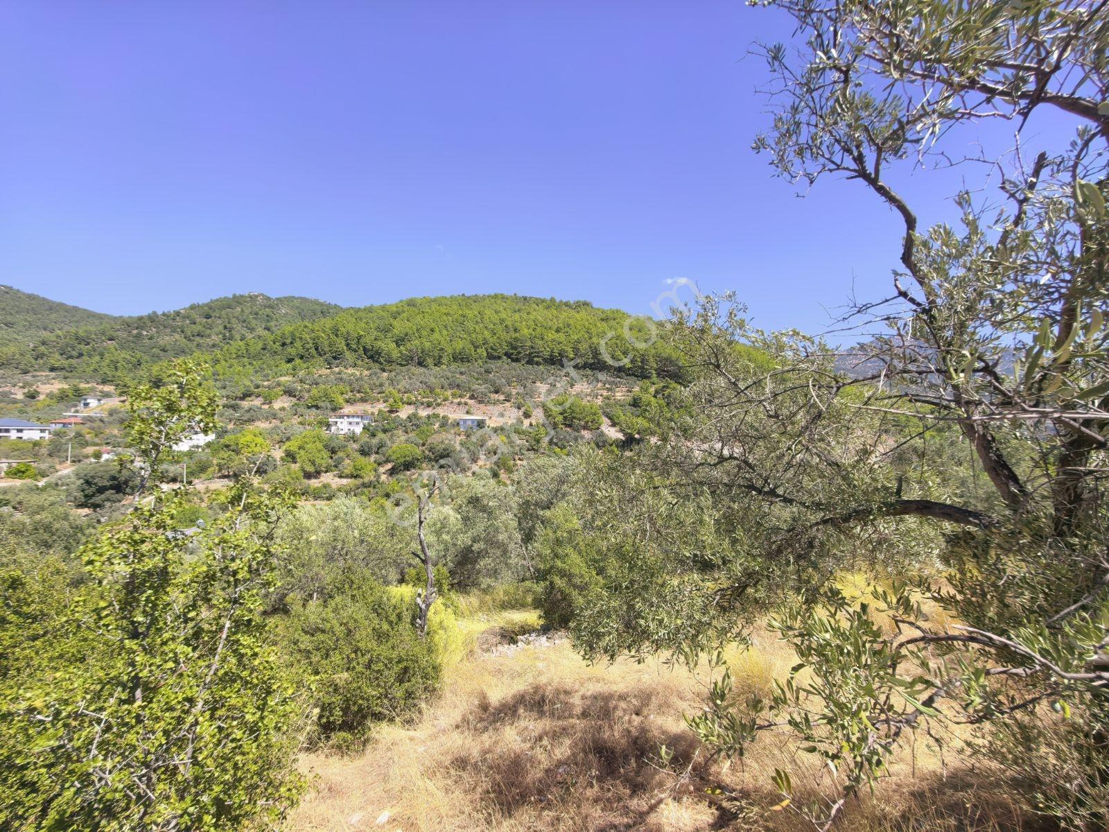 Fethiye İncir Köyde 2612 M2 İmarlı Arsa — fotoğraf 10