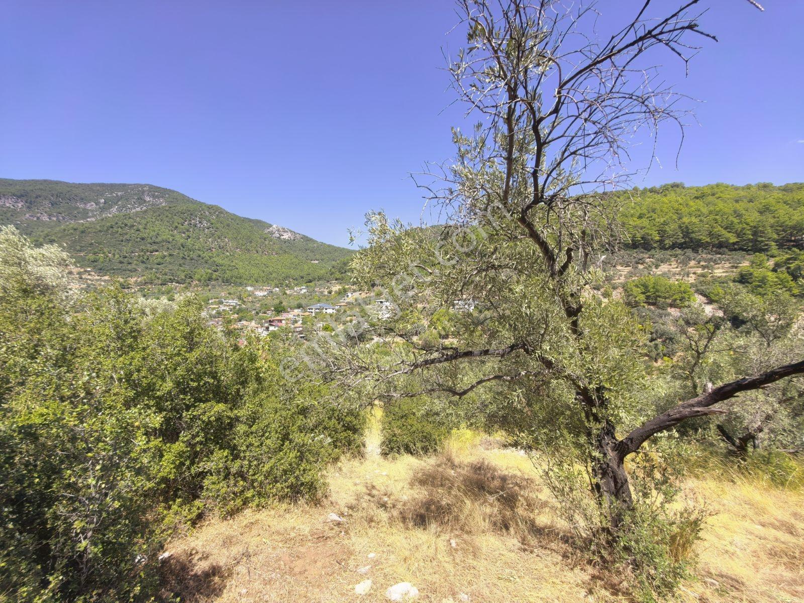 Fethiye İncir Köyde 2612 M2 İmarlı Arsa — fotoğraf 12