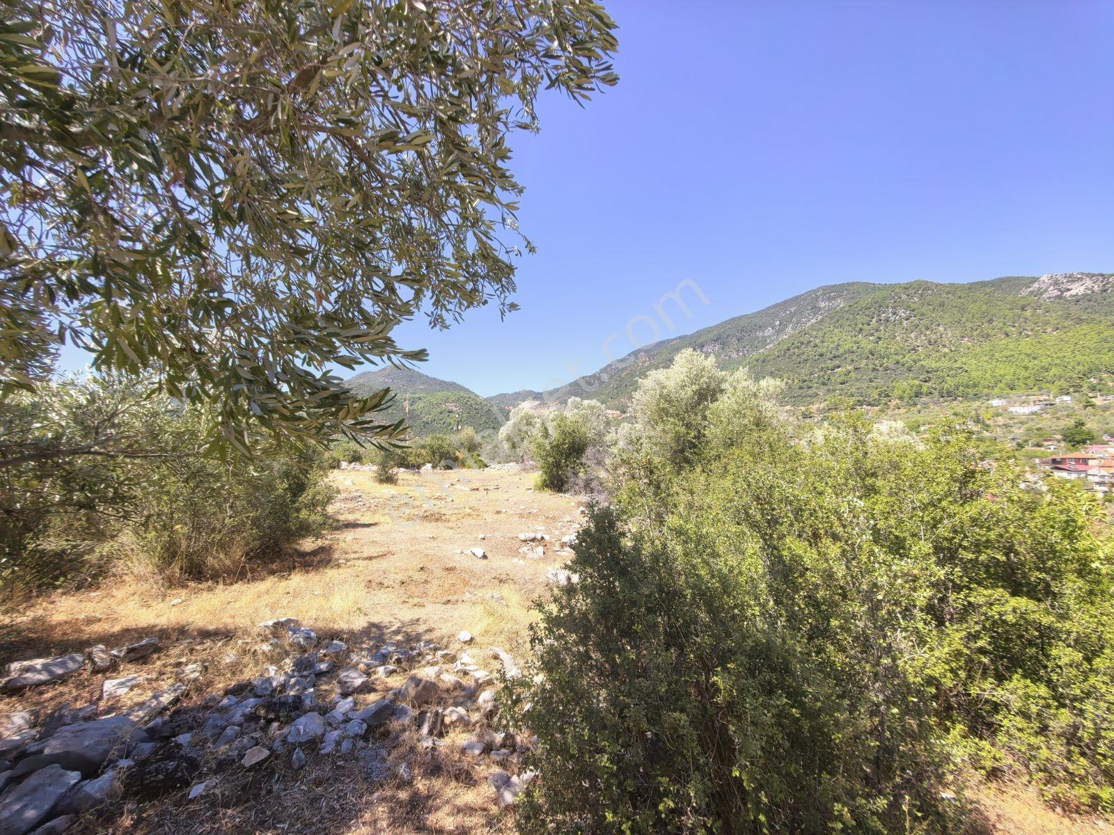 Fethiye İncir Köyde 2612 M2 İmarlı Arsa — fotoğraf 13