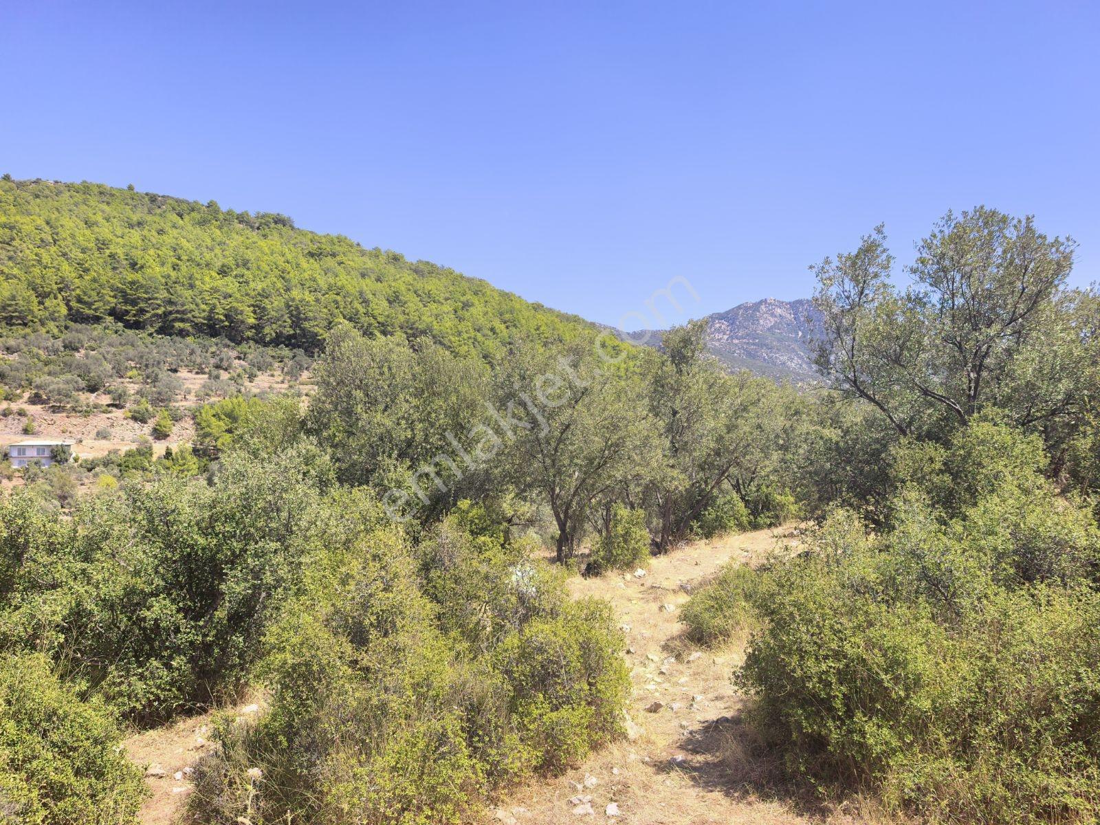 Fethiye İncir Köyde 2612 M2 İmarlı Arsa — fotoğraf 15