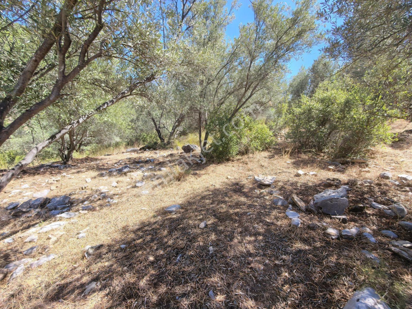Fethiye İncir Köyde 2612 M2 İmarlı Arsa — fotoğraf 18