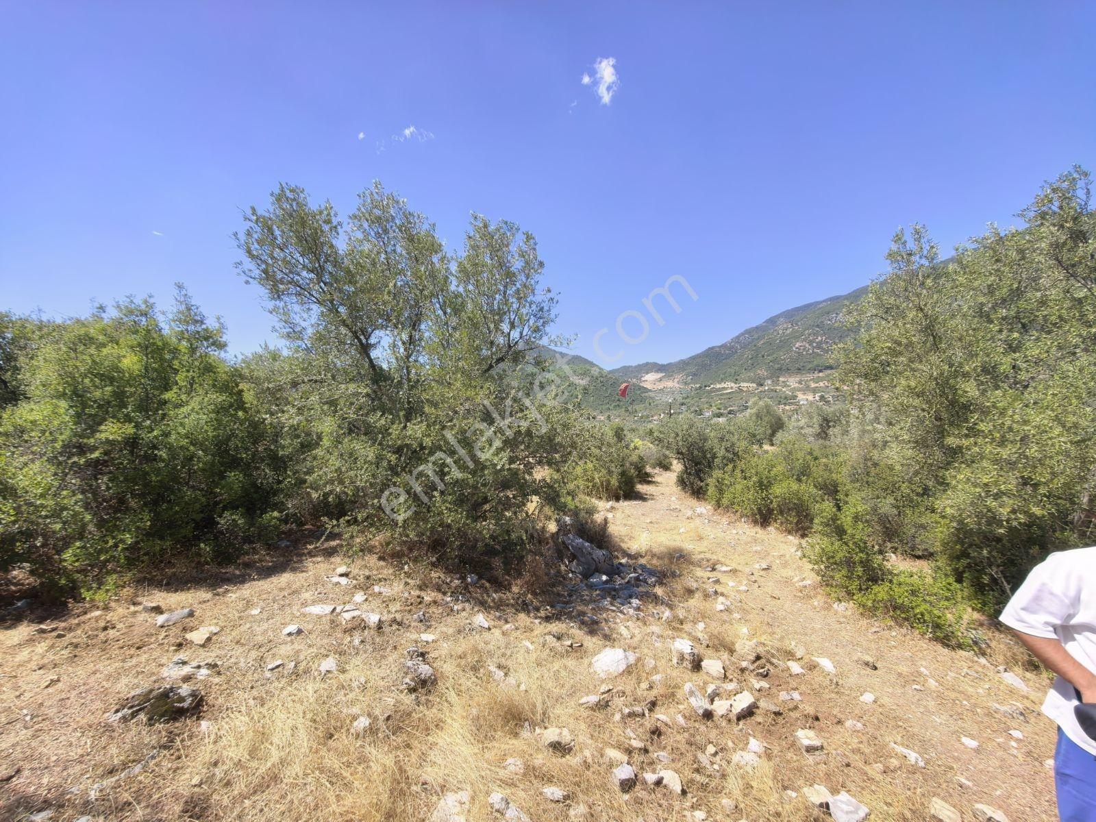 Fethiye İncir Köyde 2612 M2 İmarlı Arsa — fotoğraf 20