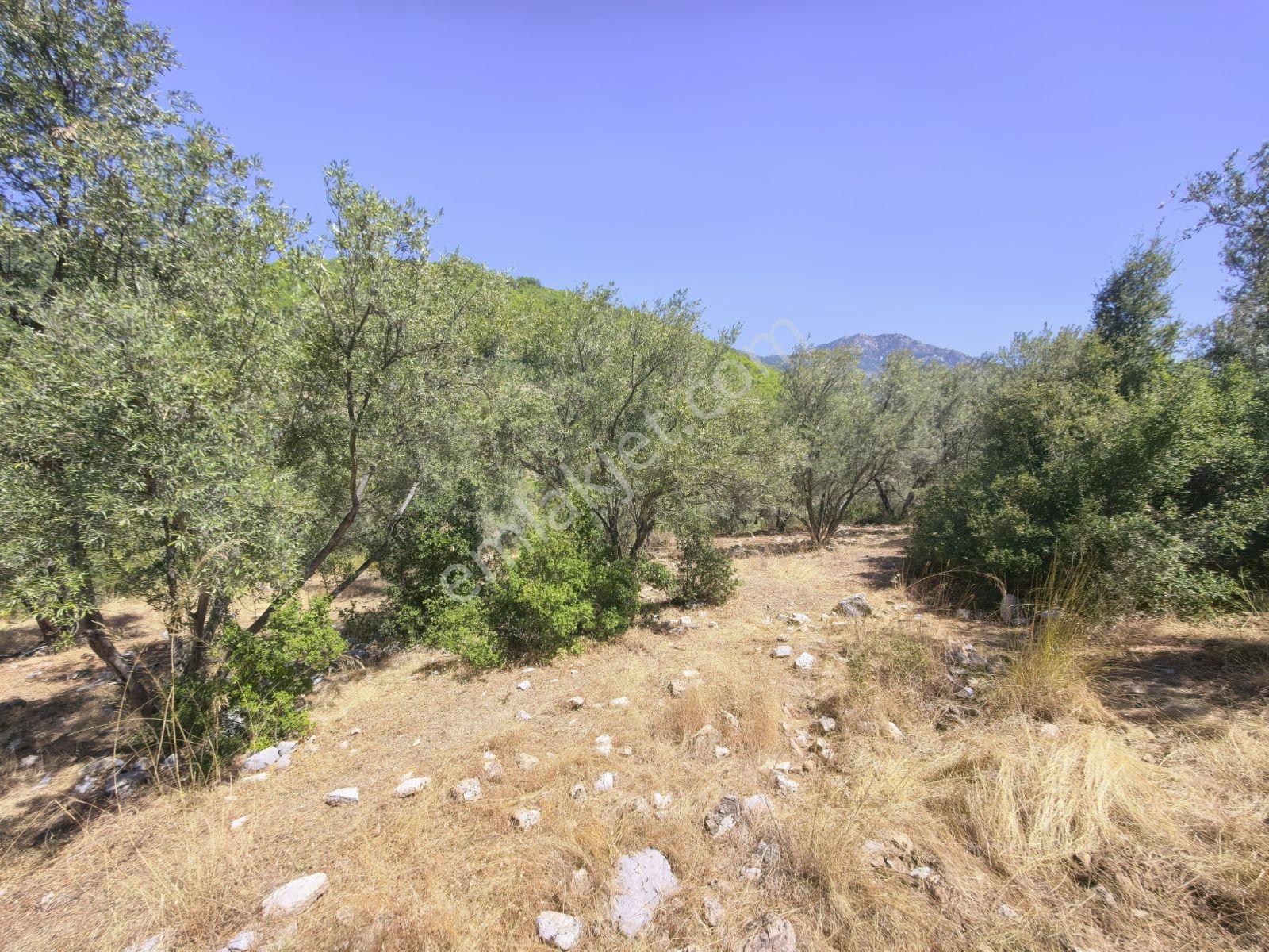 Fethiye İncir Köyde 2612 M2 İmarlı Arsa — fotoğraf 21