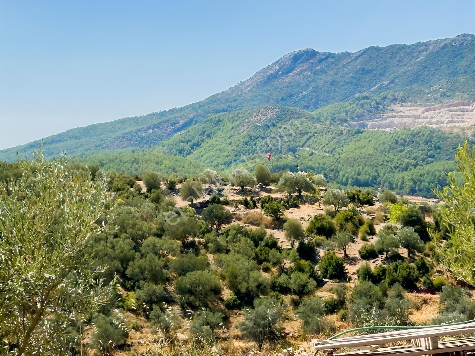 Fethiye İncir Köyde 2612 M2 İmarlı Arsa — fotoğraf 23