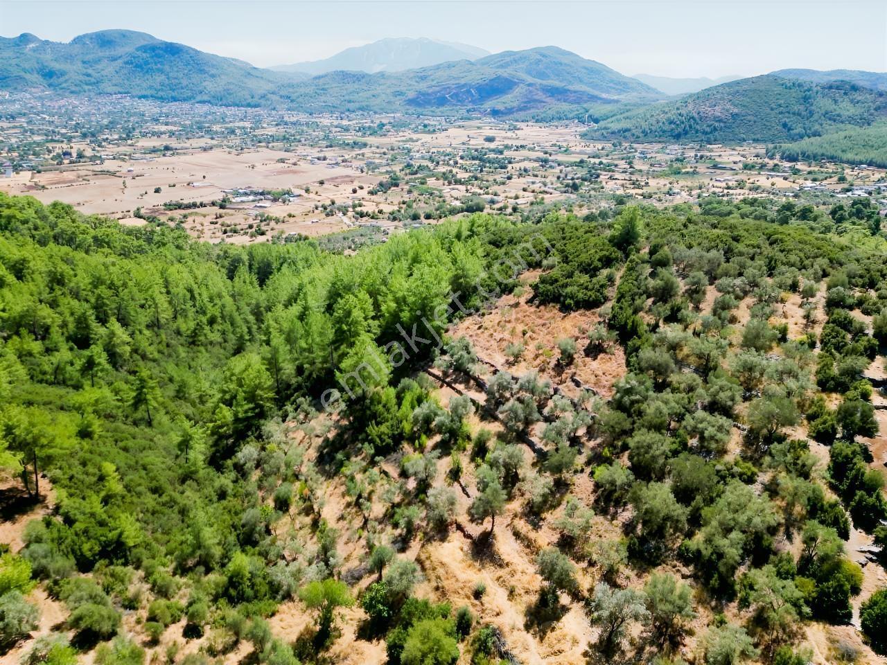 Fethiye İncir Köyde 2612 M2 İmarlı Arsa — fotoğraf 24