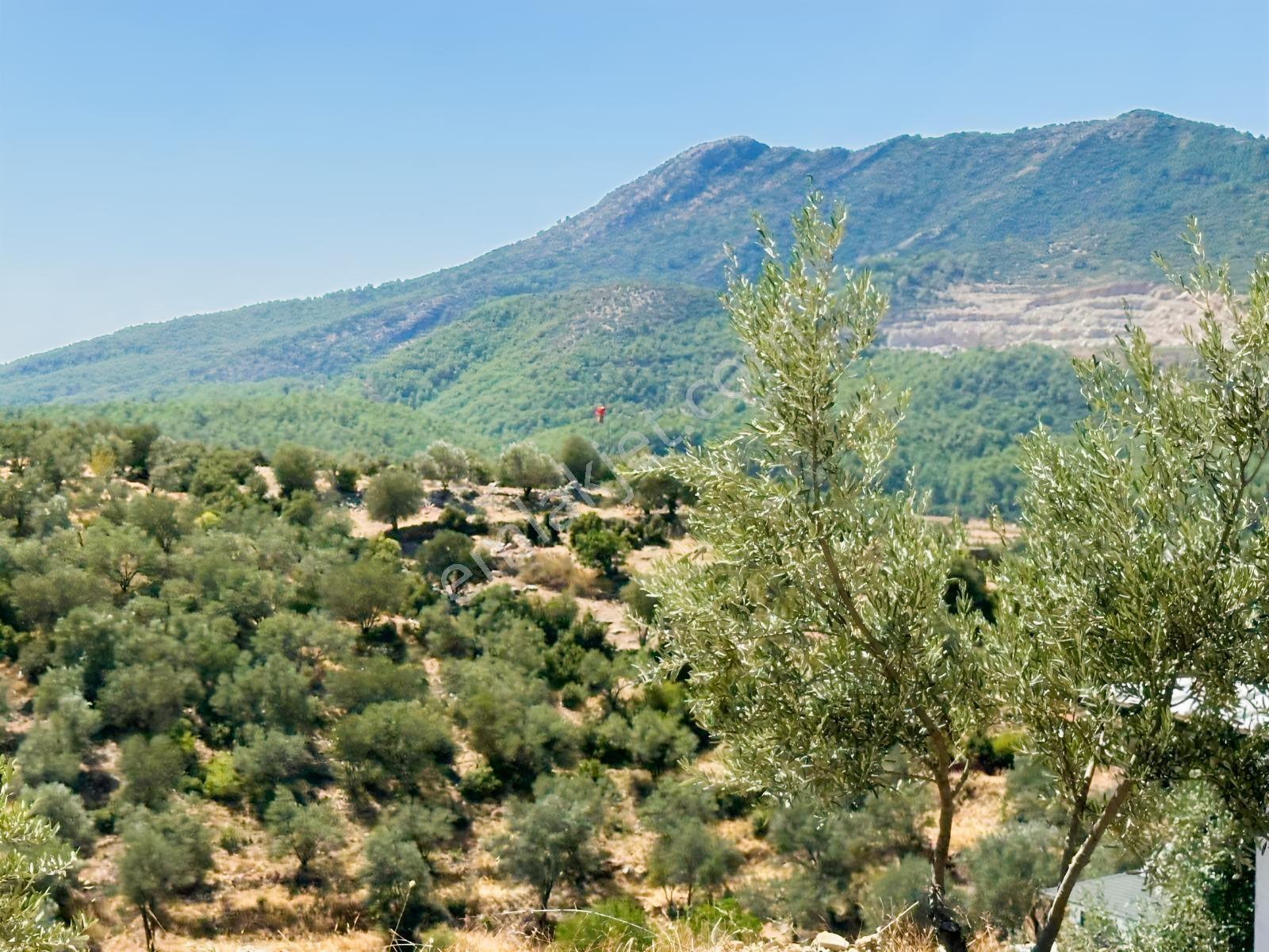 Fethiye İncir Köyde 2612 M2 İmarlı Arsa — fotoğraf 26