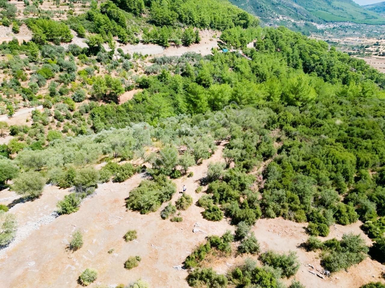 Fethiye İncir Köyde 2612 M2 İmarlı Arsa — fotoğraf 27