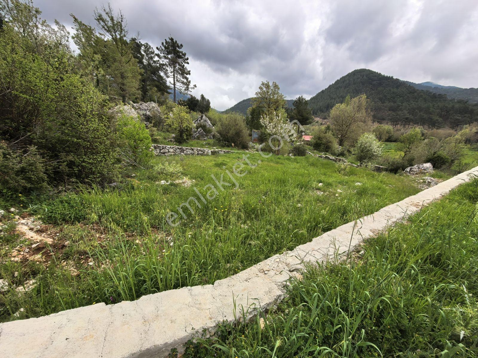 Nif Mah.'de Uygun Arazi — fotoğraf 6