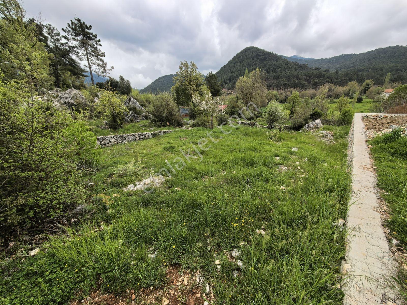 Nif Mah.'de Uygun Arazi — fotoğraf 7