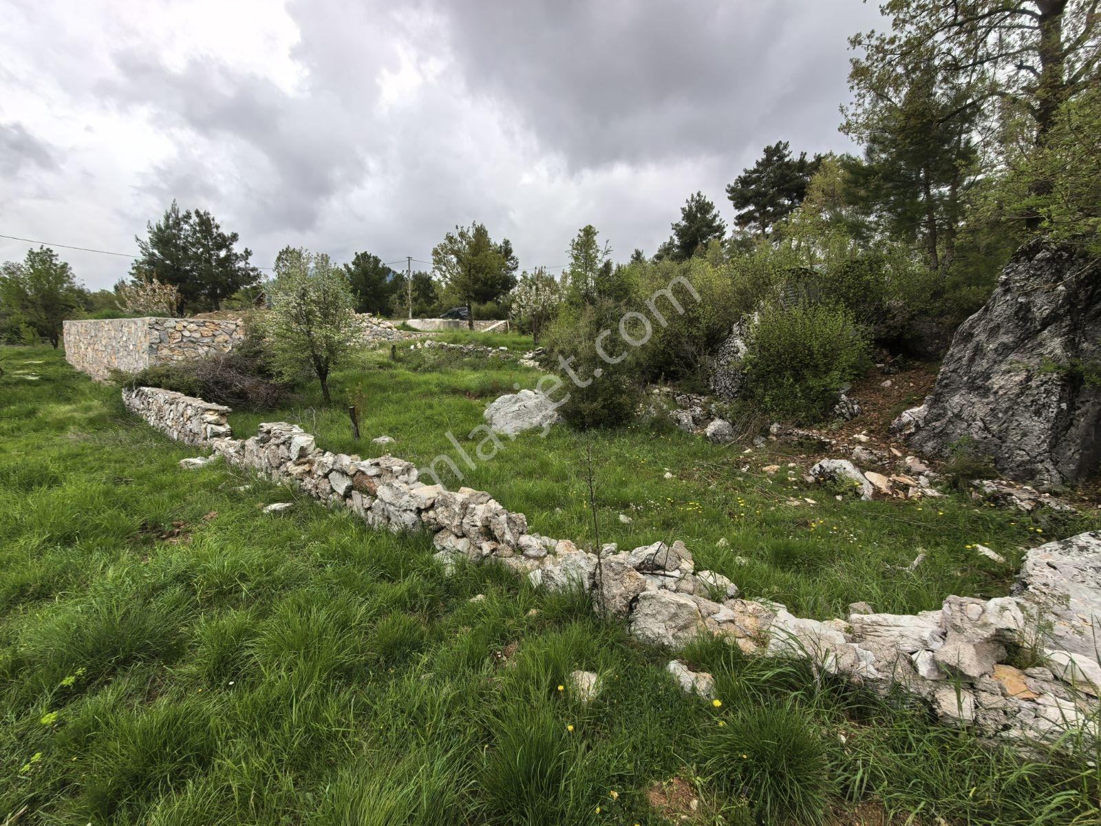 Nif Mah.'de Uygun Arazi — fotoğraf 9