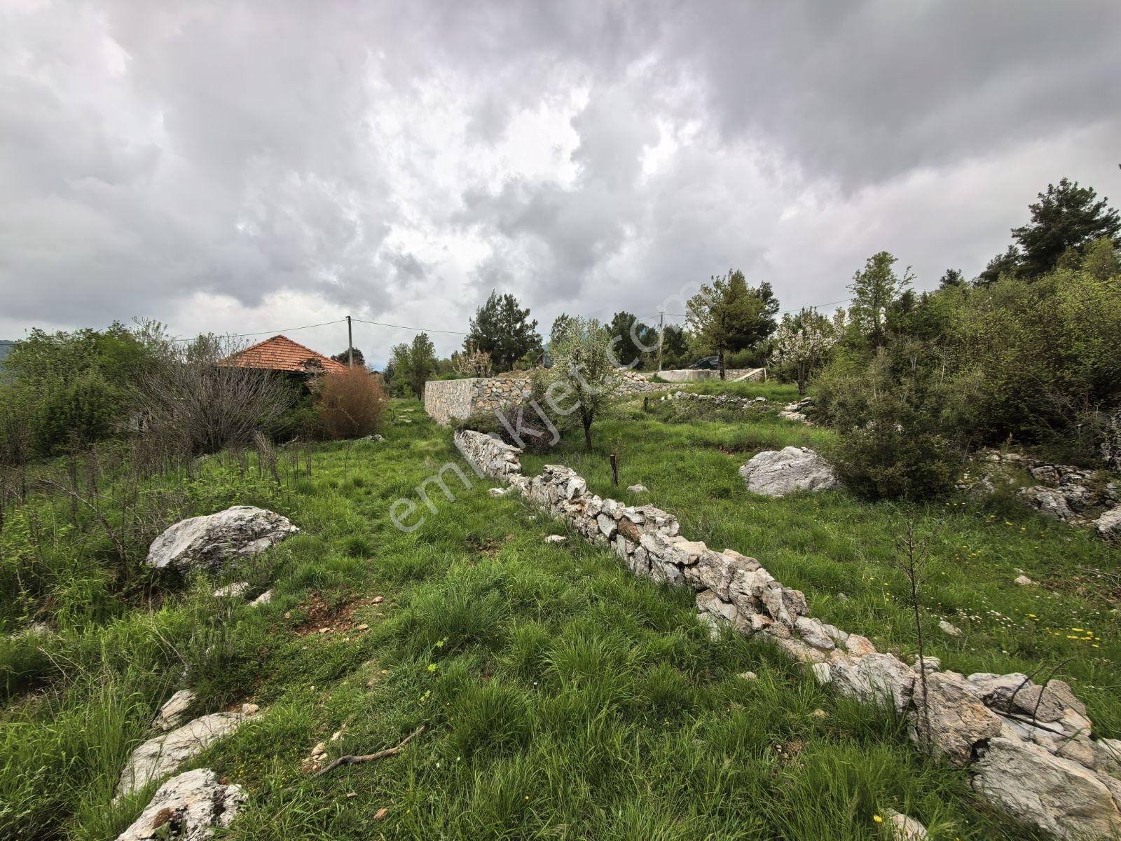 Nif Mah.'de Uygun Arazi — fotoğraf 10