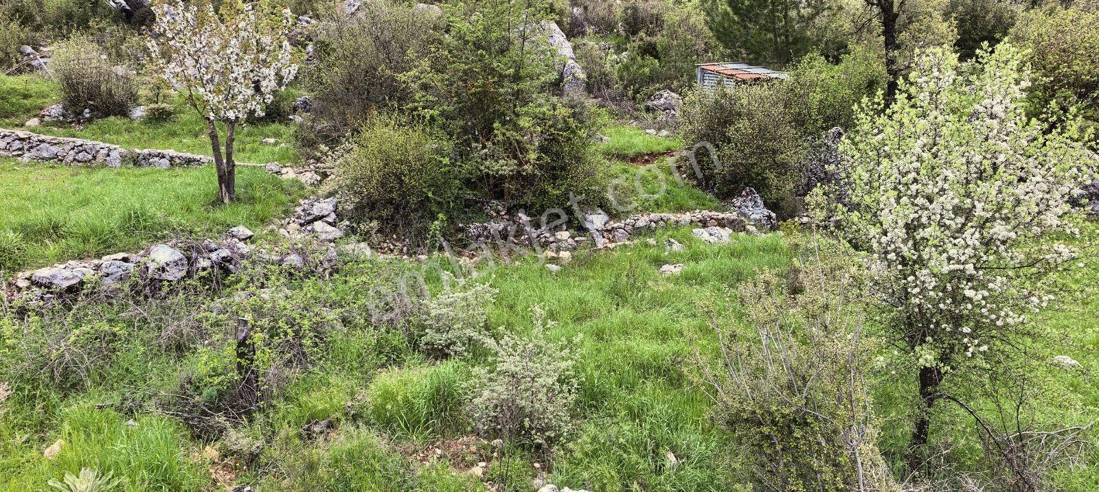 Nif Mah.'de Uygun Arazi — fotoğraf 14