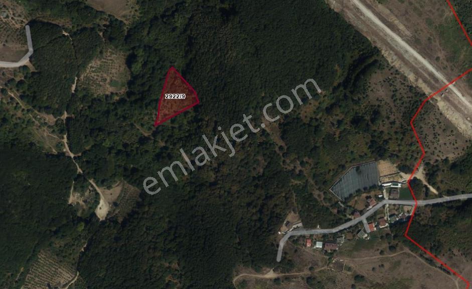 Şile Şuayipli Mah 3940 M2 Satılık Arsa — fotoğraf 2