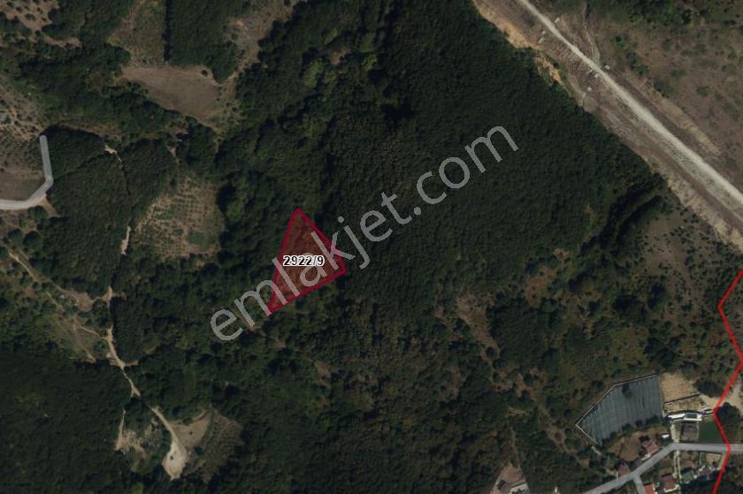 Şile Şuayipli Mah 3940 M2 Satılık Arsa — fotoğraf 3