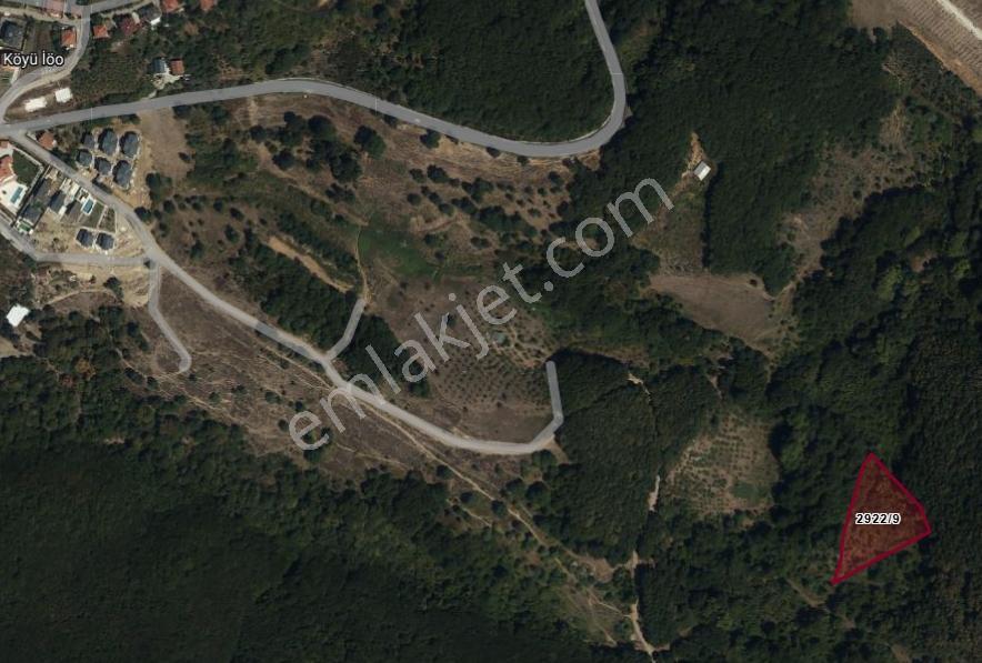 Şile Şuayipli Mah 3940 M2 Satılık Arsa — fotoğraf 4
