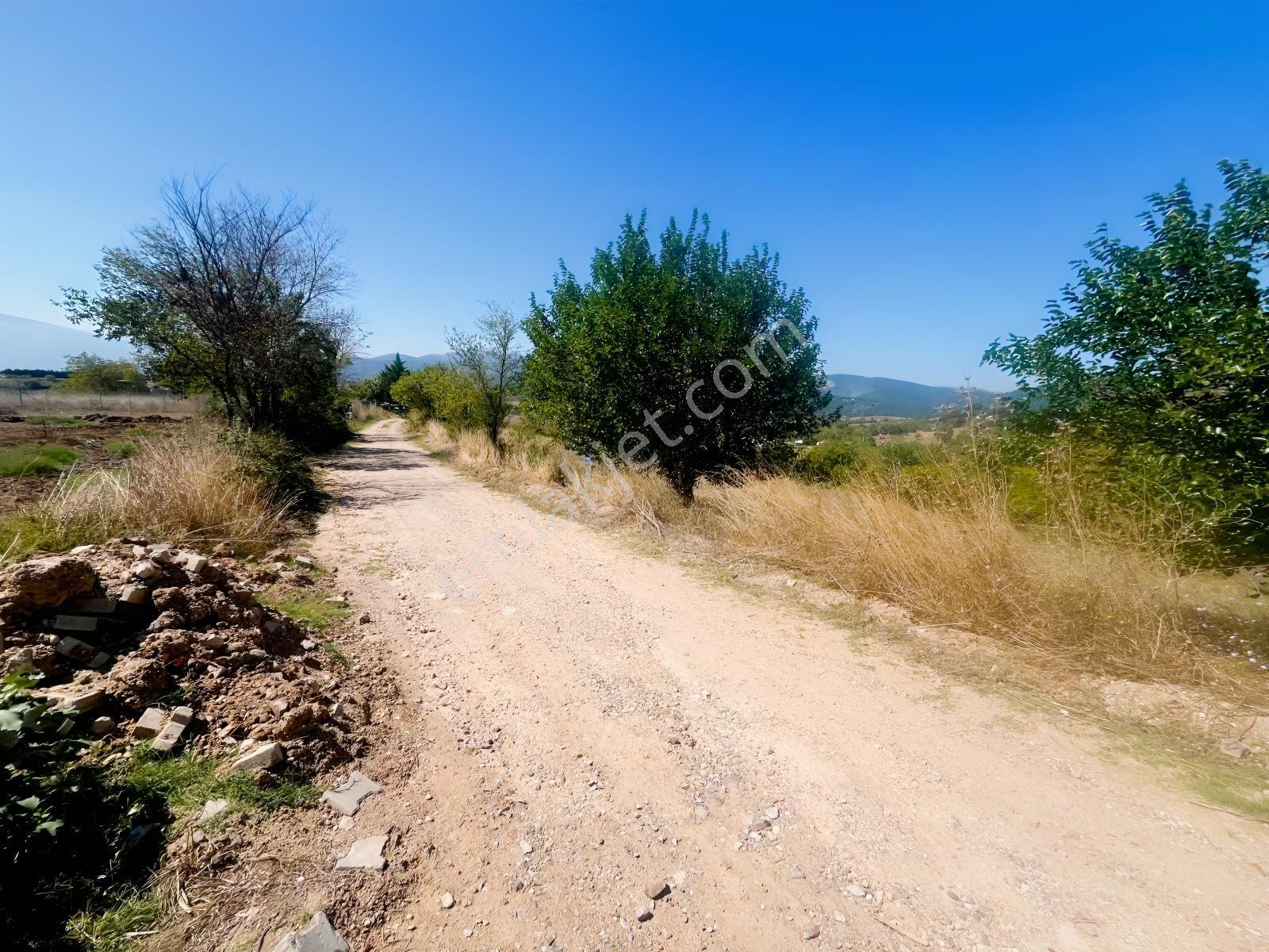 846m2 (köy Meydanına Komşu(350 Mtre Mesafede)resmi Yola 2.parsel — fotoğraf 4