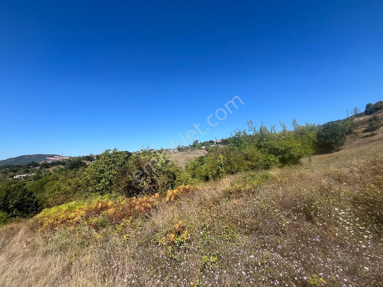 846m2 (köy Meydanına Komşu(350 Mtre Mesafede)resmi Yola 2.parsel — fotoğraf 14